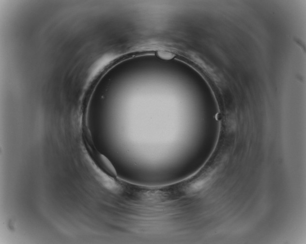 X0000097761416200803141713