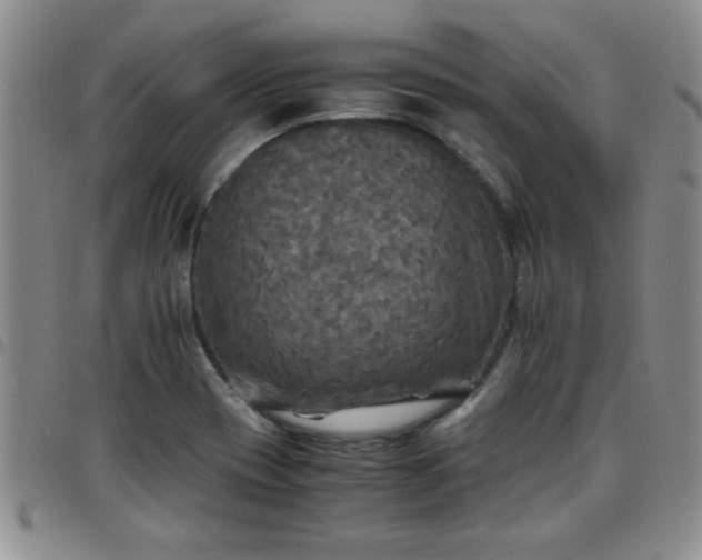 X0000097761417200803141713