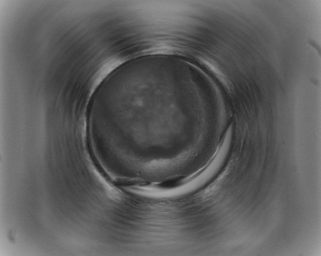 X0000097761418200803141713