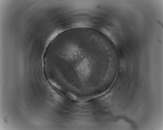 X0000097761419200803141713