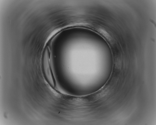 X0000097761420200803141713