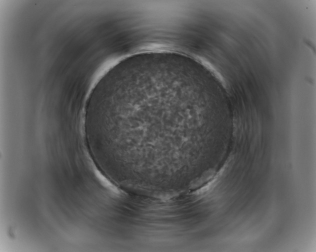 X0000097761421200803141713