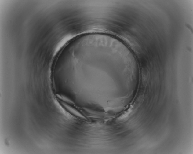 X0000097761422200803141713