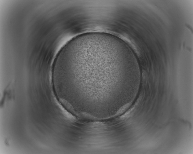 X0000097761424200803141713