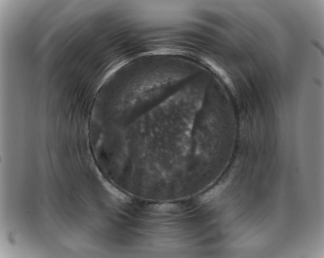 X0000097761425200803141713