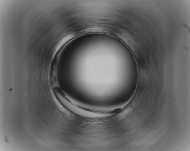 X0000097761426200803141713