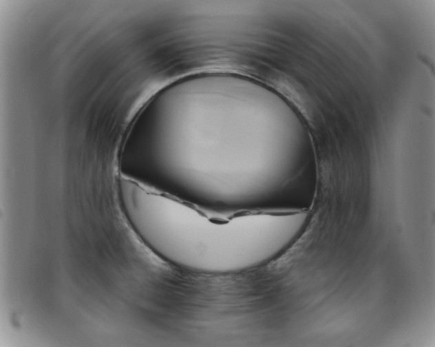 X0000097761428200803141713