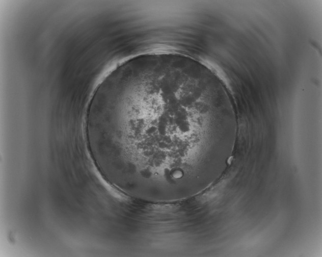 X0000097761429200803141713