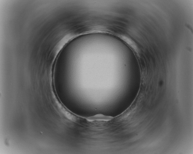 X0000097761431200803141713