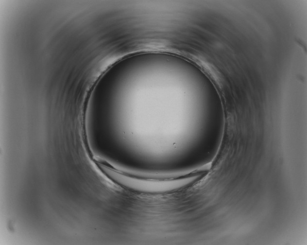 X0000097761432200803141713