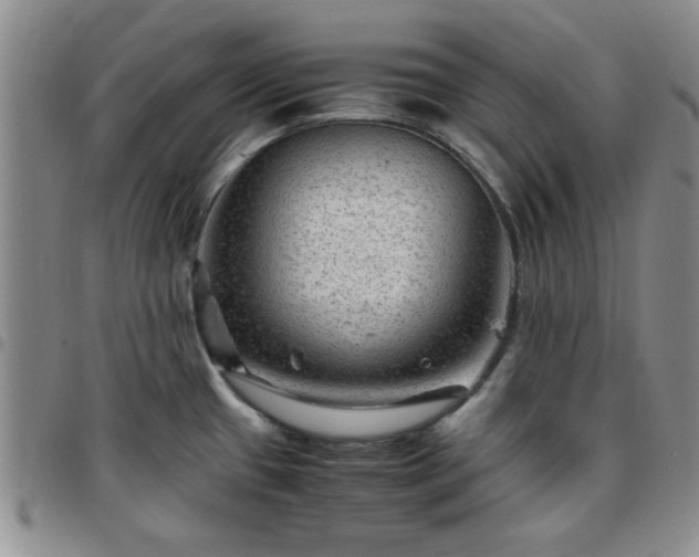 X0000097761433200803141713