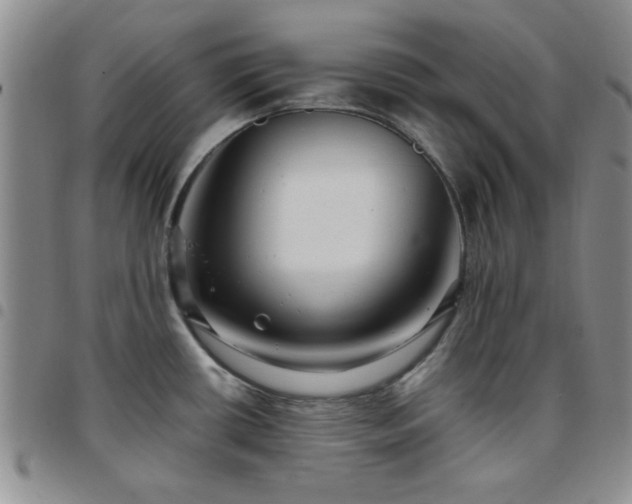 X0000097761434200803141713