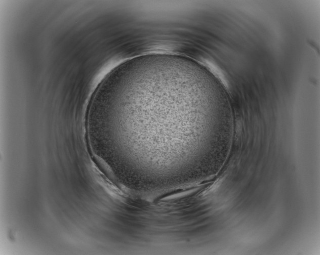 X0000097761435200803141713