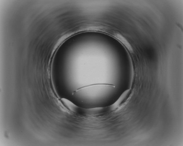 X0000097761436200803141713