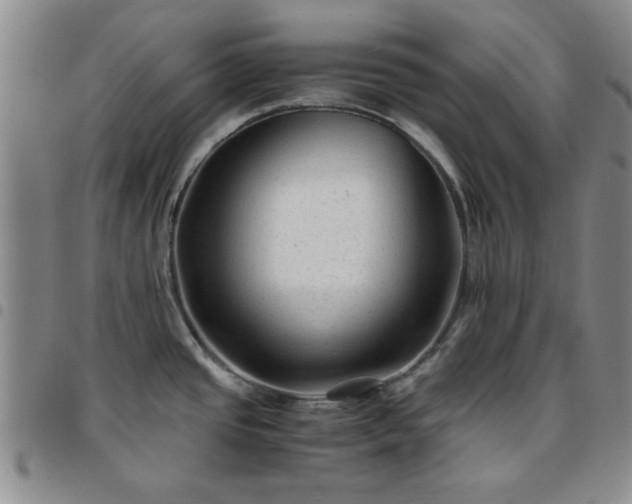 X0000097761437200803141713