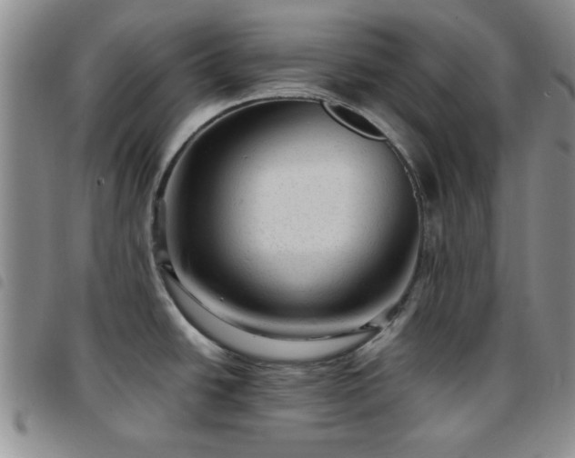 X0000097761438200803141713