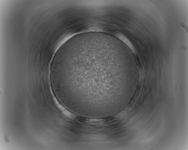 X0000097761439200803141713
