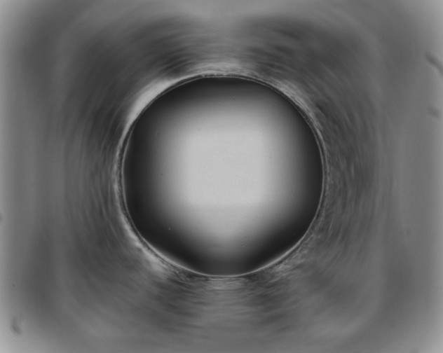 X0000097761440200803141713