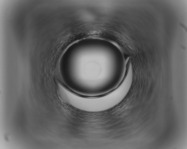 X0000097761441200803141713