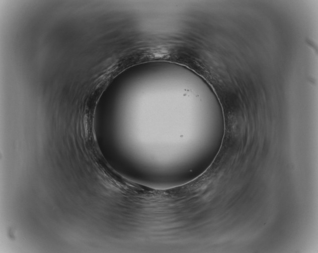 X0000097761442200803141713