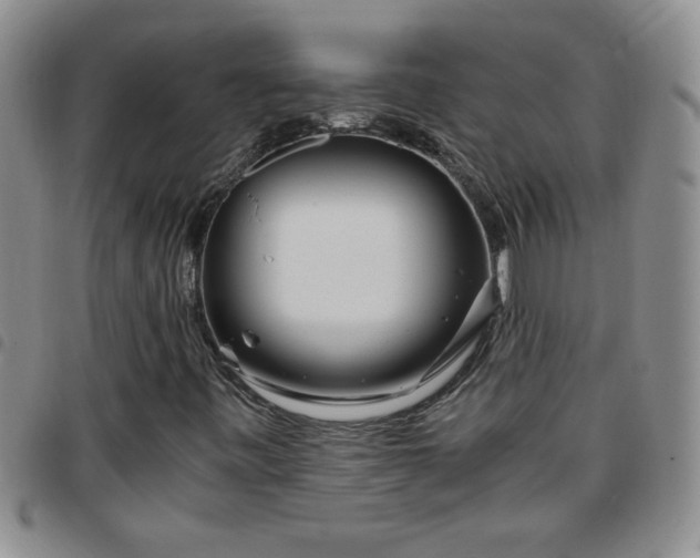 X0000097761443200803141713