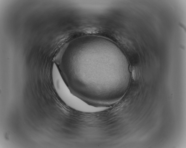 X0000097761444200803141713