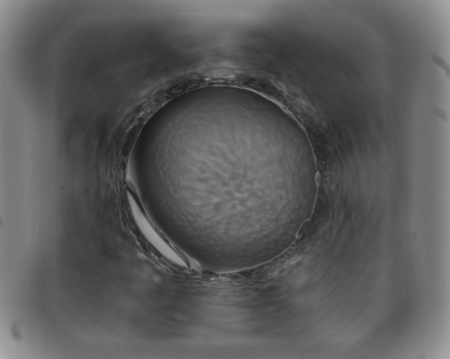 X0000097761445200803141713