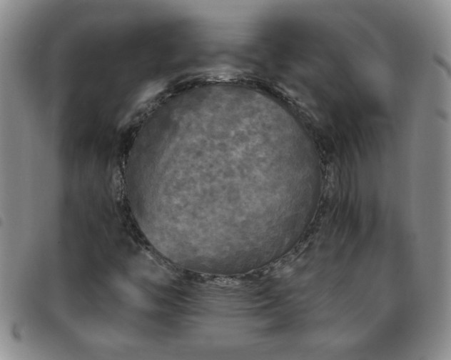 X0000097761446200803141713