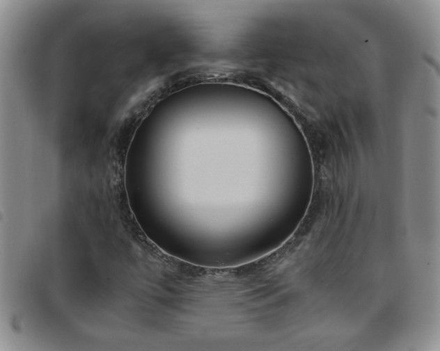 X0000097761447200803141713