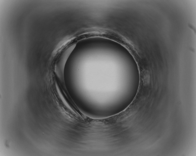 X0000097761448200803141713