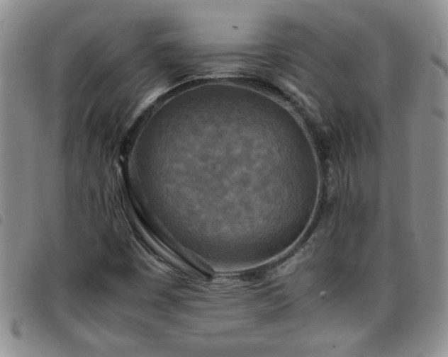 X0000097761449200803141713