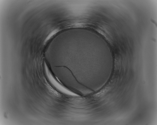 X0000097761450200803141713