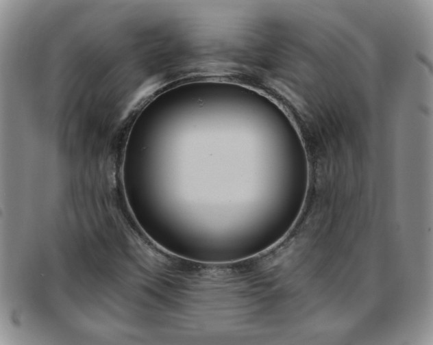 X0000097761451200803141713