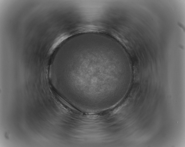 X0000097761453200803141713