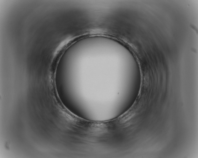 X0000097761454200803141713