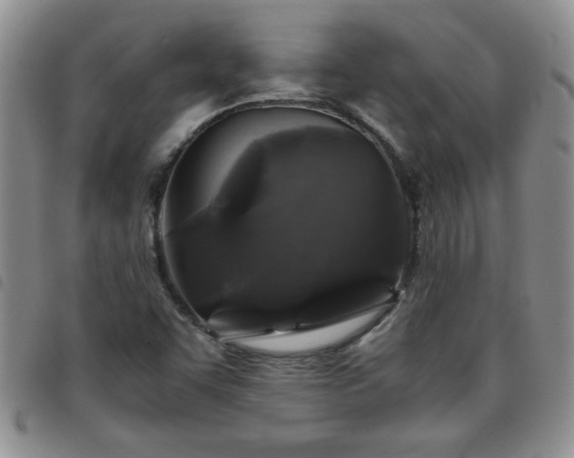 X0000097761455200803141713