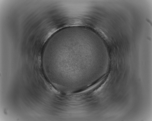 X0000097761457200803141713