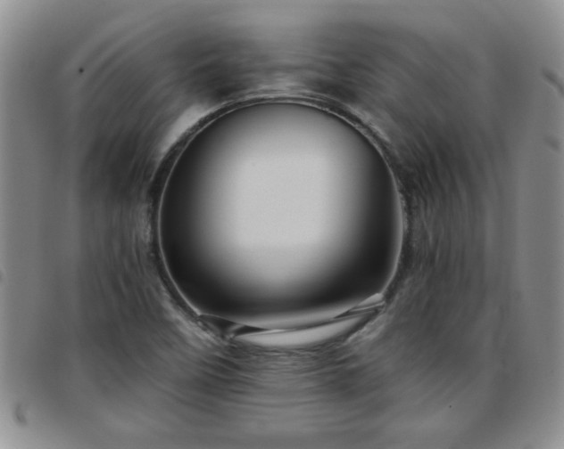 X0000097761458200803141713