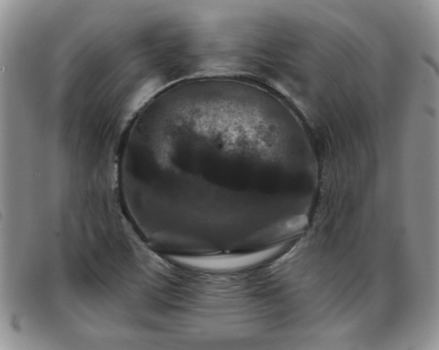 X0000097761459200803141712