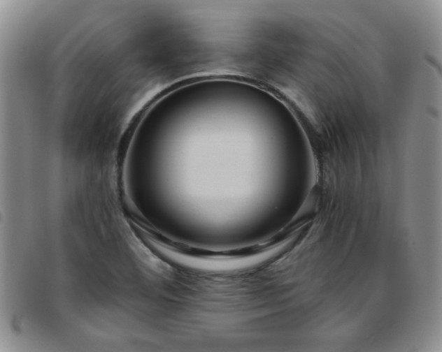 X0000097761460200803141712