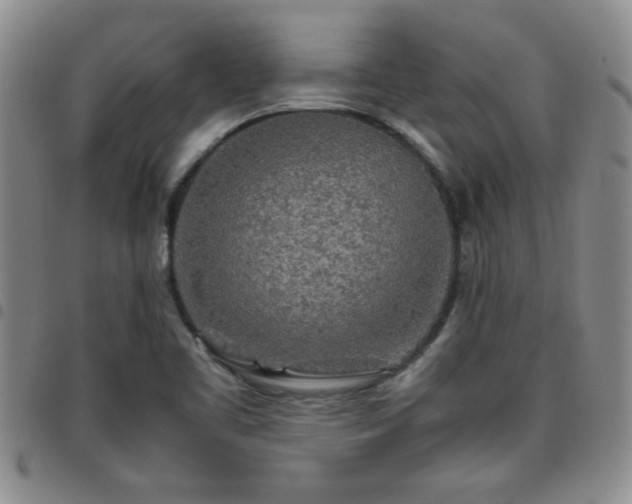 X0000097761461200803141712