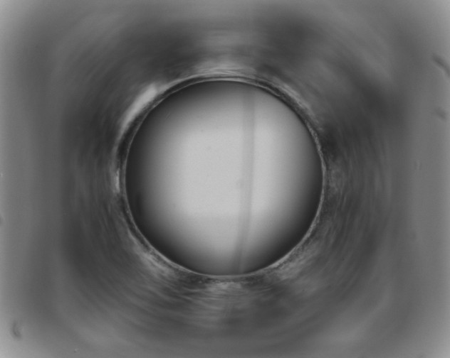 X0000097761462200803141712