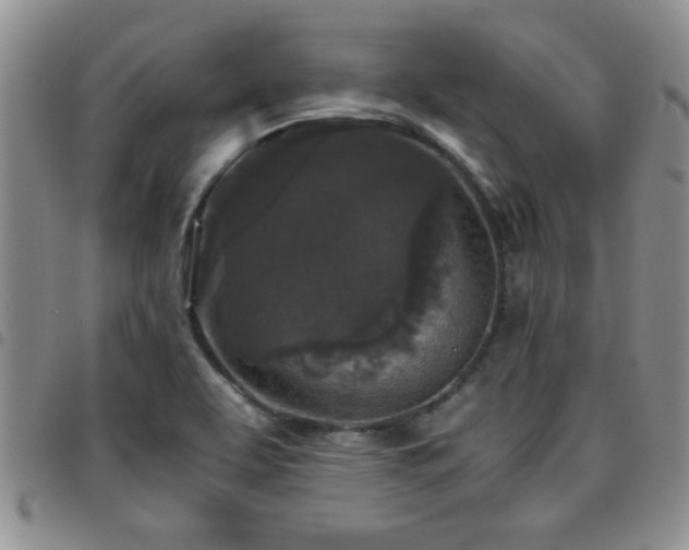 X0000097761463200803141712