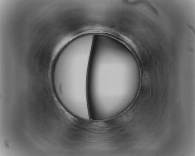 X0000097761464200803141712