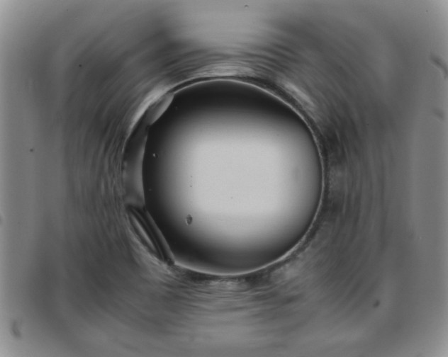 X0000097761465200803141712