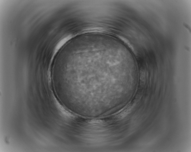 X0000097761466200803141712