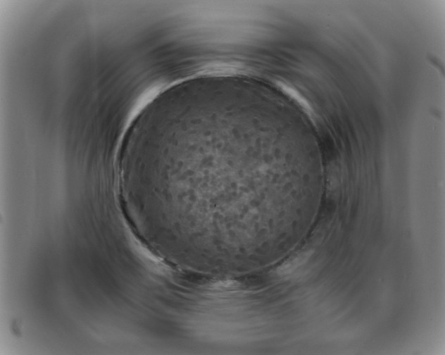 X0000097761467200803141712