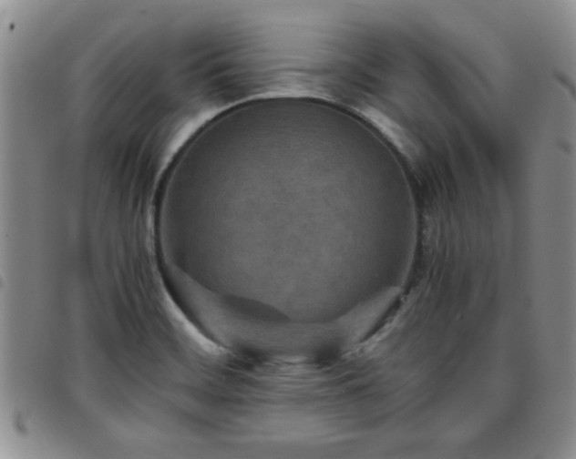 X0000097761468200803141712