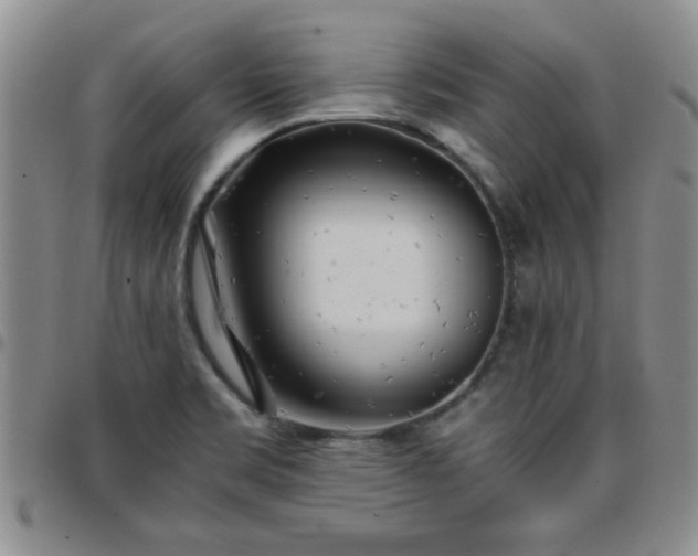 X0000097761469200803141712