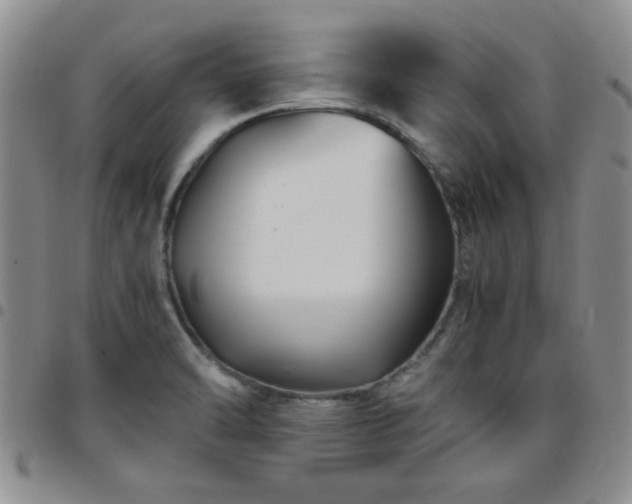 X0000097761470200803141712